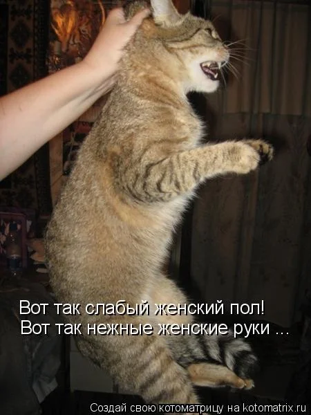 imgs_touch (85).webp