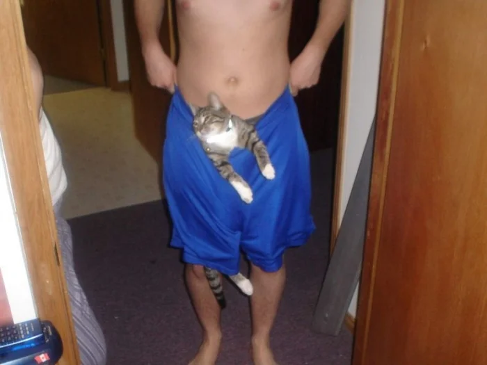 imgs_touch (86).webp