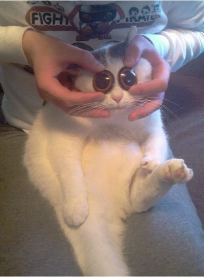 imgs_touch (87).webp