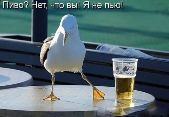 imgs_touch (88).webp