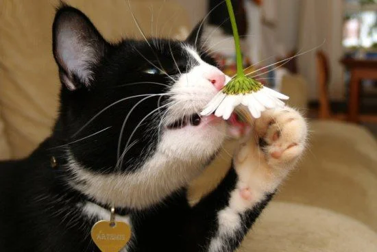 imgs_touch (91).webp