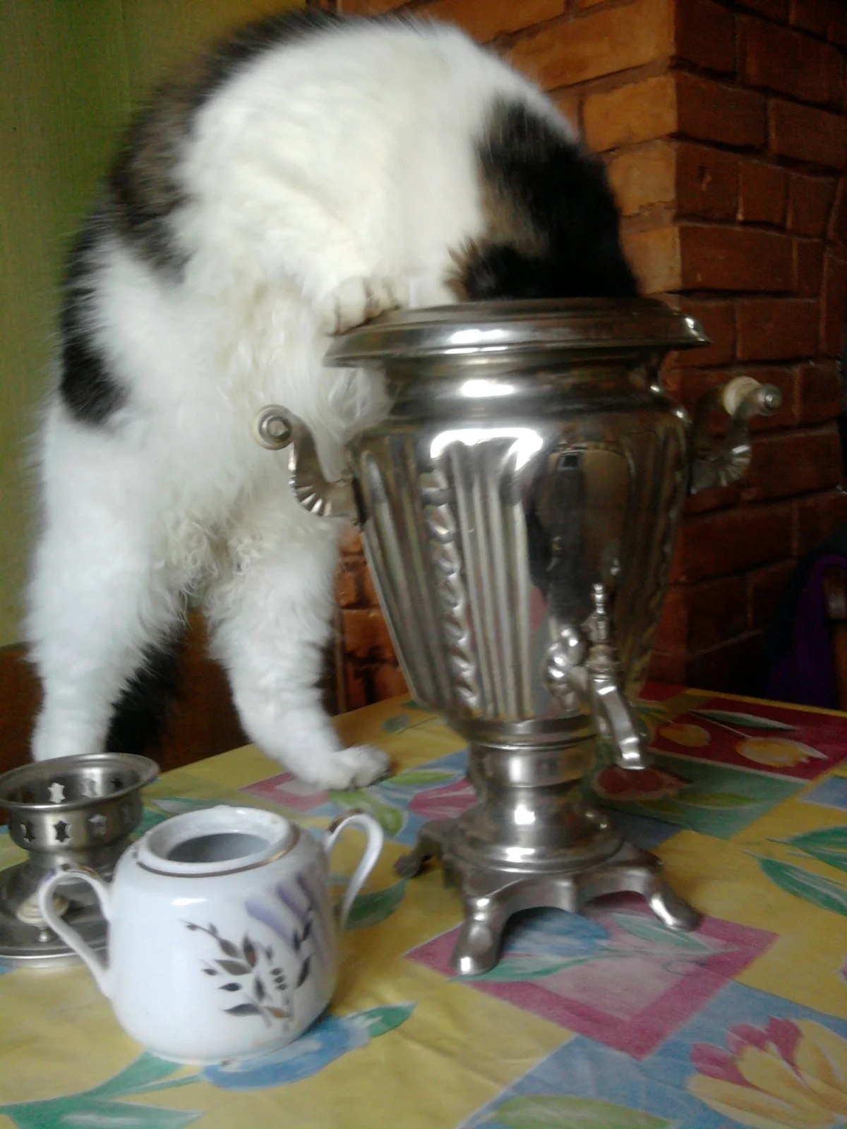 imgs_touch (91).webp