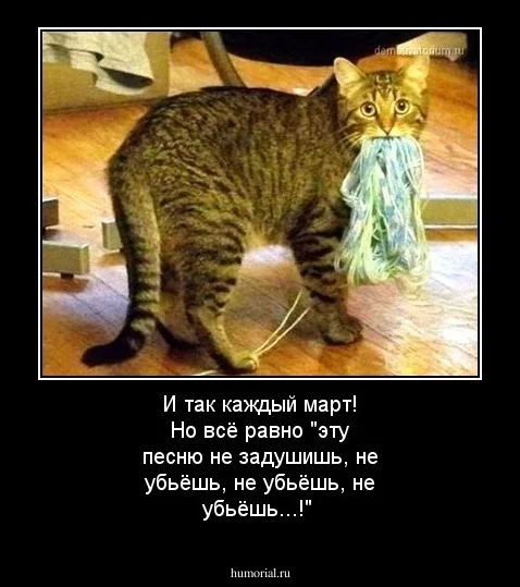 imgs_touch (92).webp