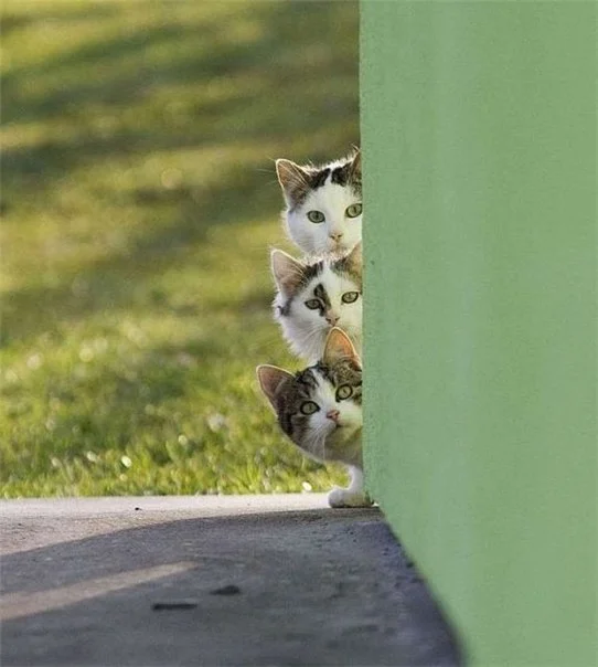 imgs_touch (92).webp