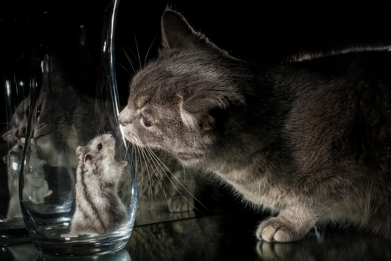 imgs_touch (93).webp