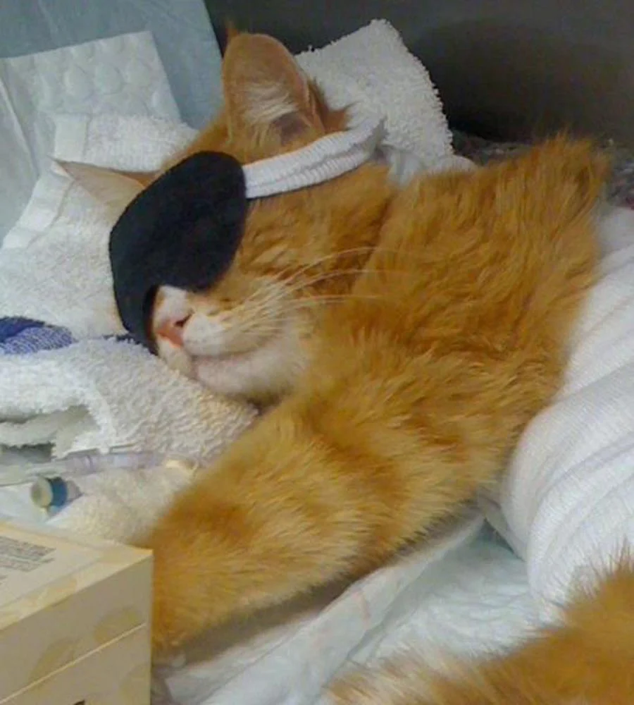 imgs_touch (93).webp