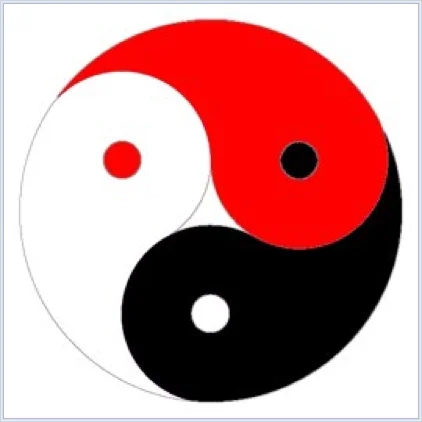 Инь ян.webp