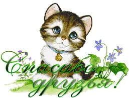index.webp
