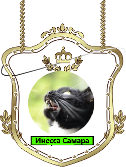 Инесса Самара.png