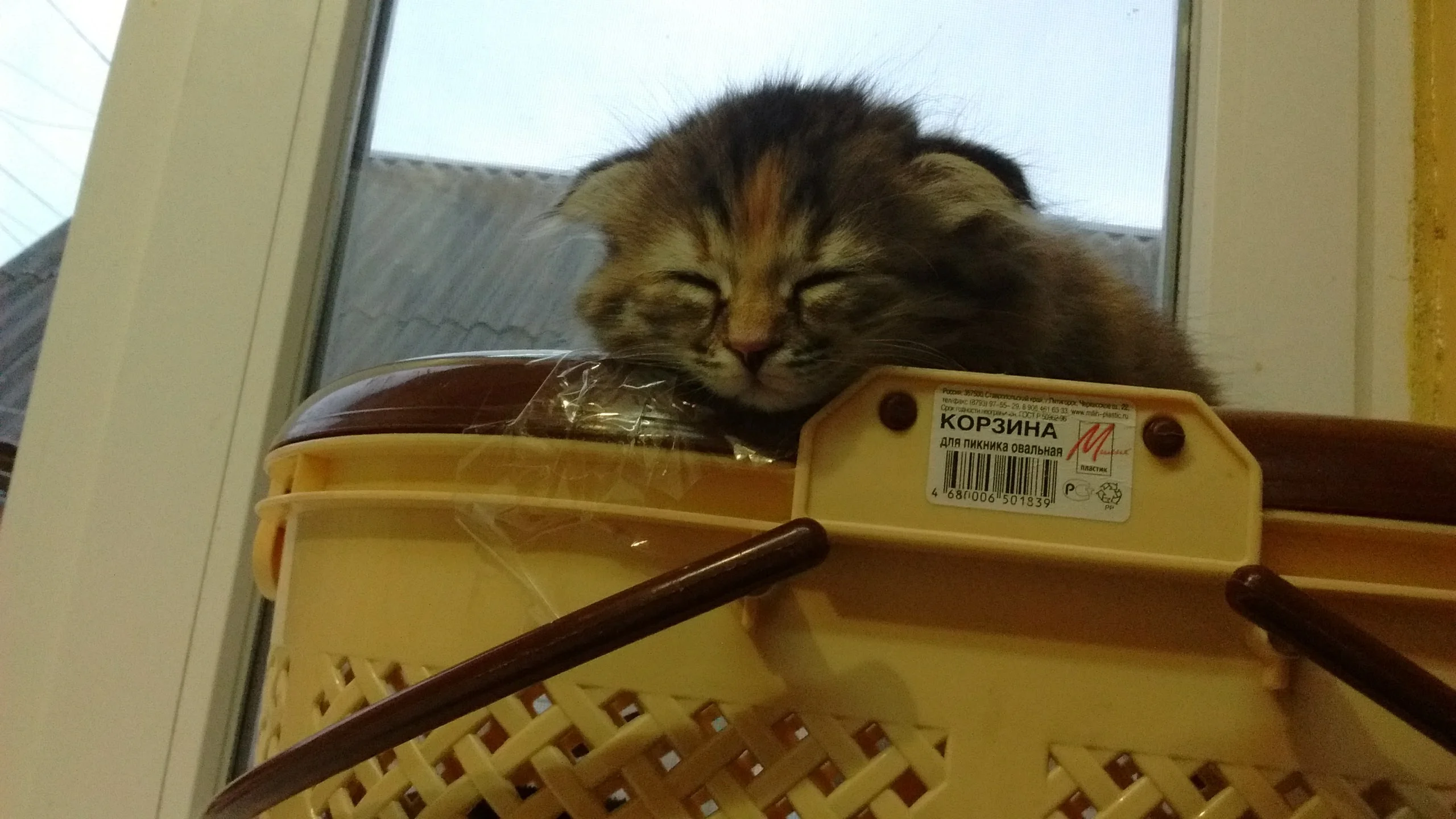 Инфинити. Кекс.webp