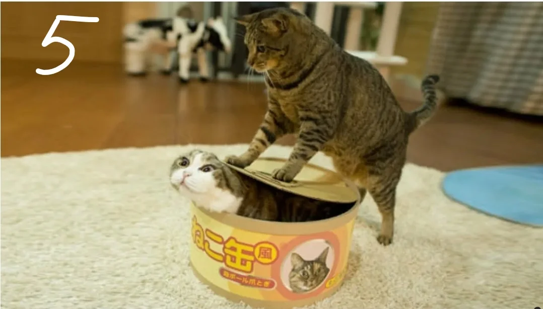 InkedScreenshot_20210801-193003_Samsung Internet_LI.webp