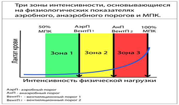 intensity-zones-physiology5.png