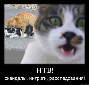 интриги.webp