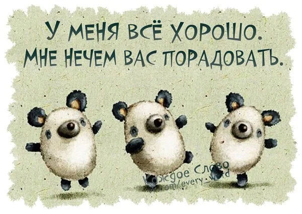 iNzyvlgmrfU.webp