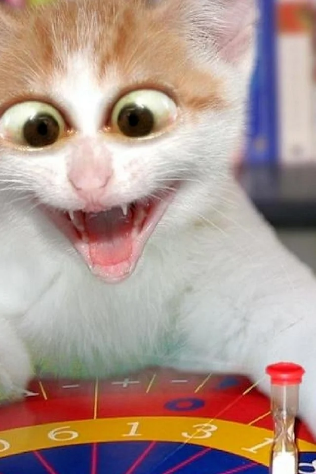 йОбщество с ограниченной ответственностью «ЯМ!Ресторантс Интернэшнл Раша СИ Ай Эс» 2.webp