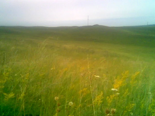 Ировские холмы.webp