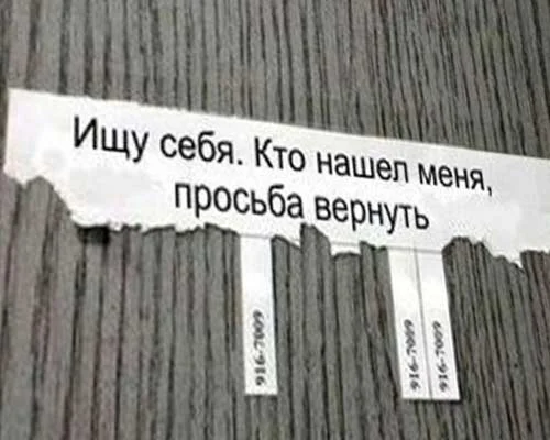 ищу себя.webp