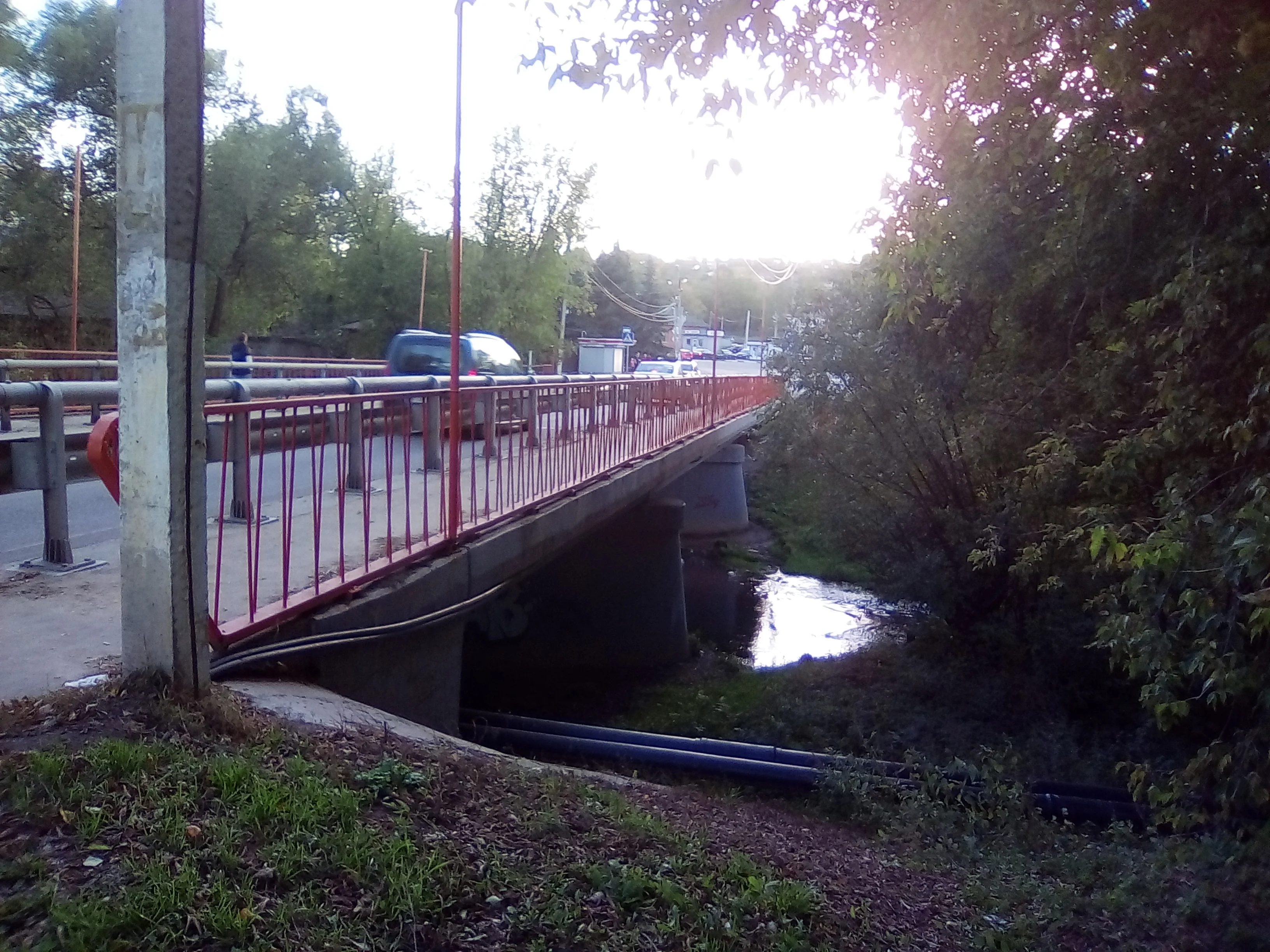 Искандер Камаев.webp