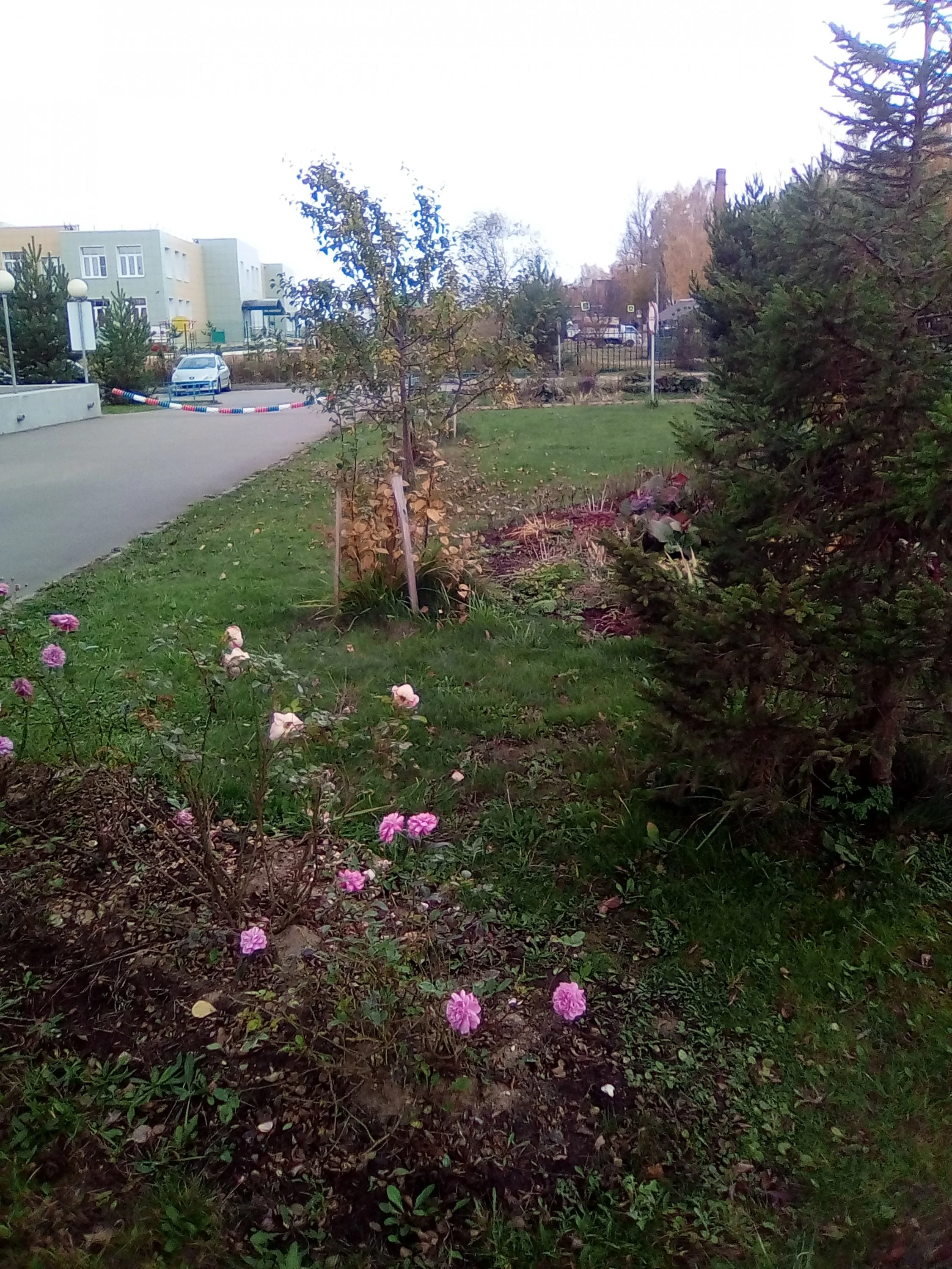 Искандер Камаев2.webp