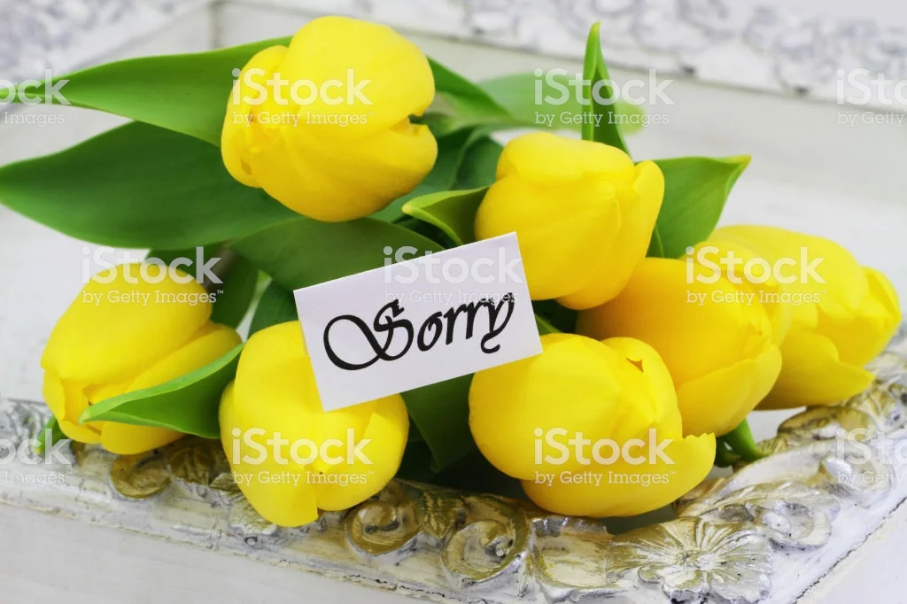 istockphoto-950131064-1024x1024.webp