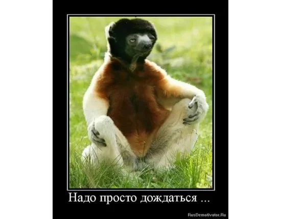iууууууууууууууууууууу.webp