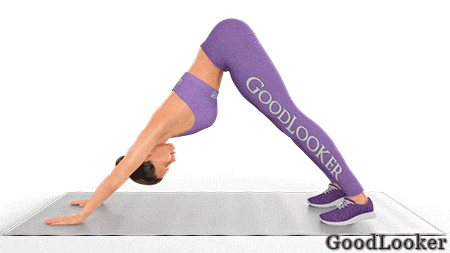 Iz_sobaki_mordoj_vniz_vverh (1).gif