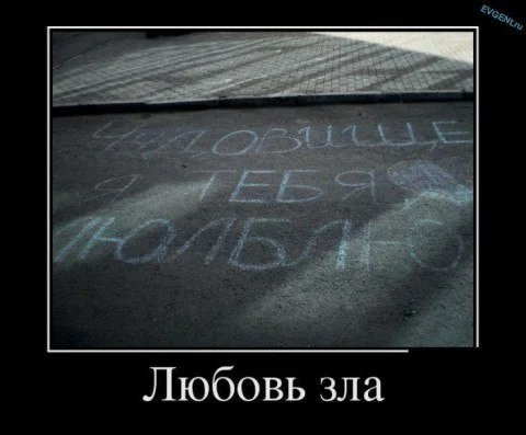 izN3Uyl7w_M.webp