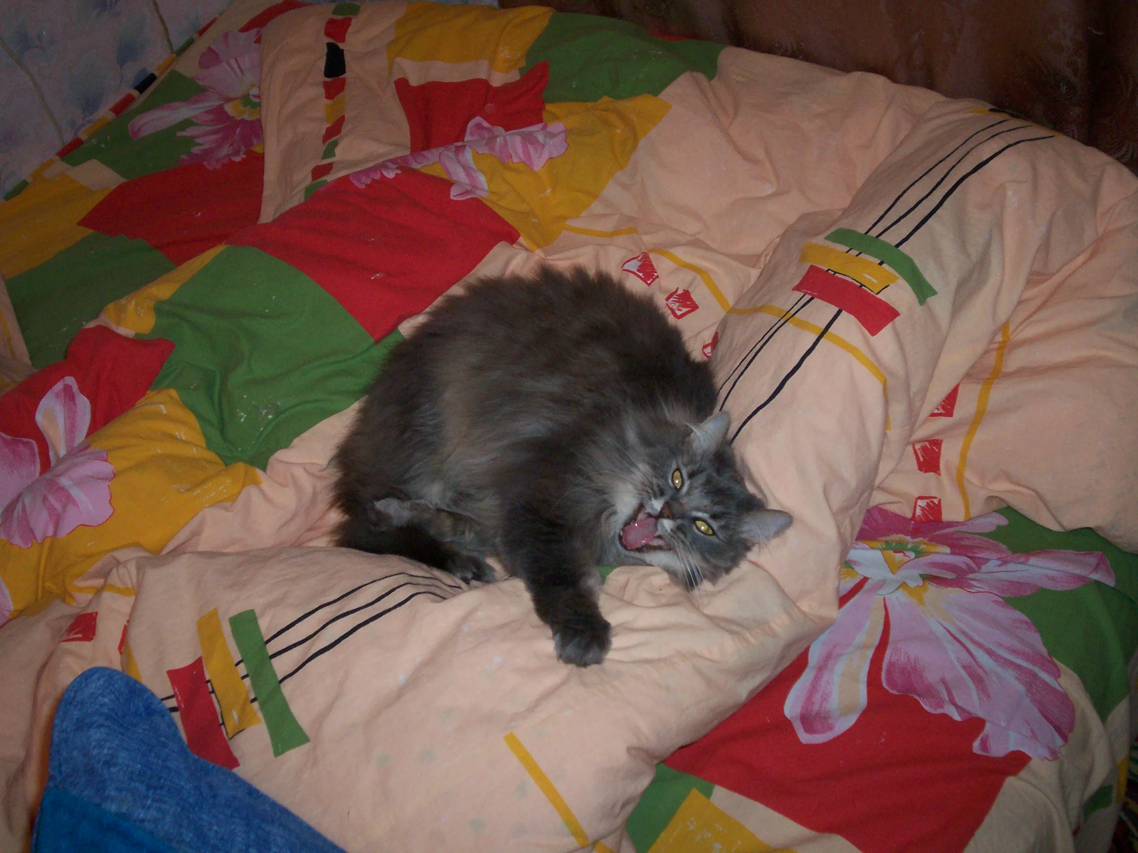 Изображение 001.webp