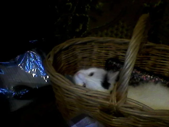 Изображение 001.webp