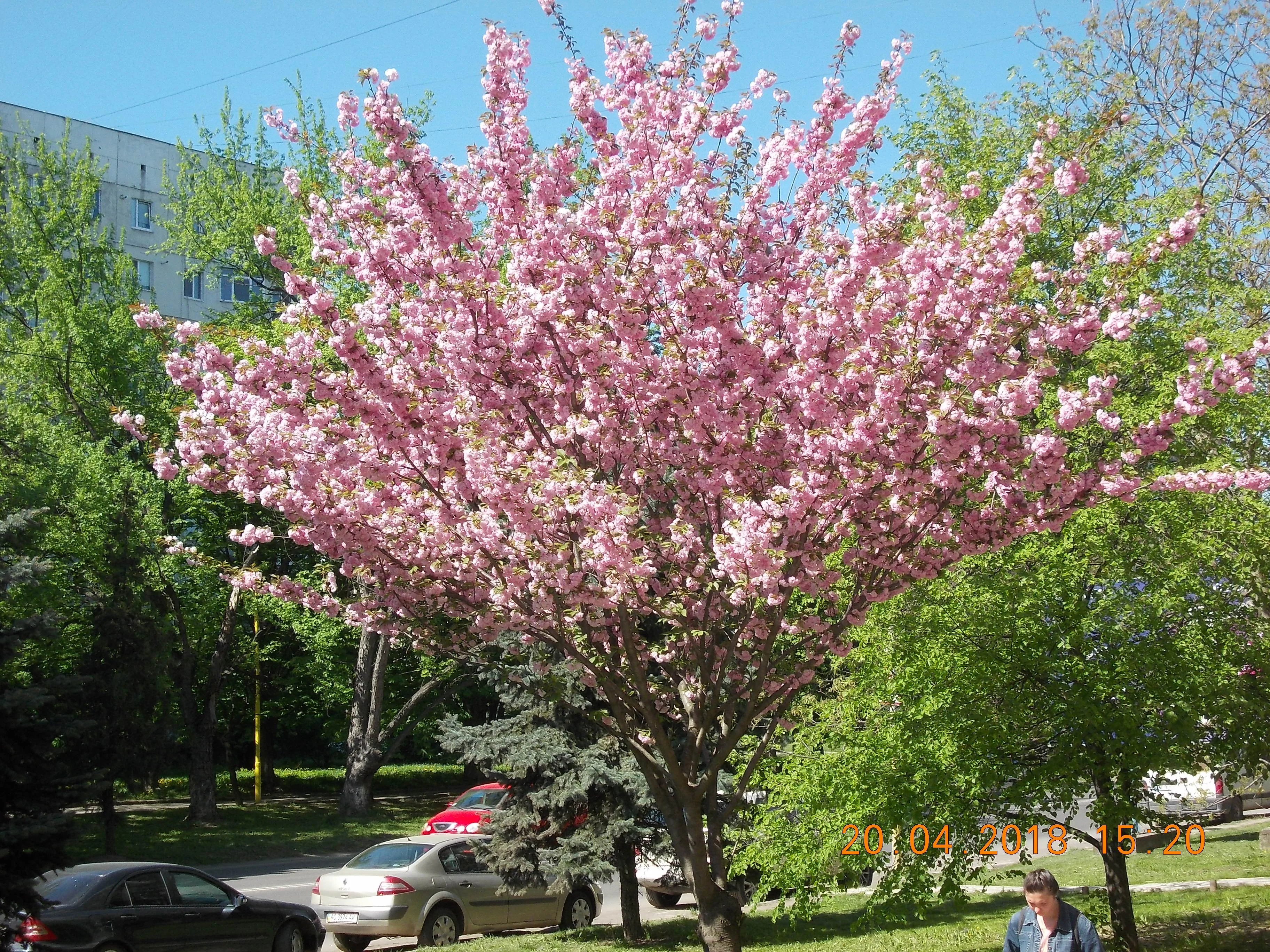 Изображение 004.webp