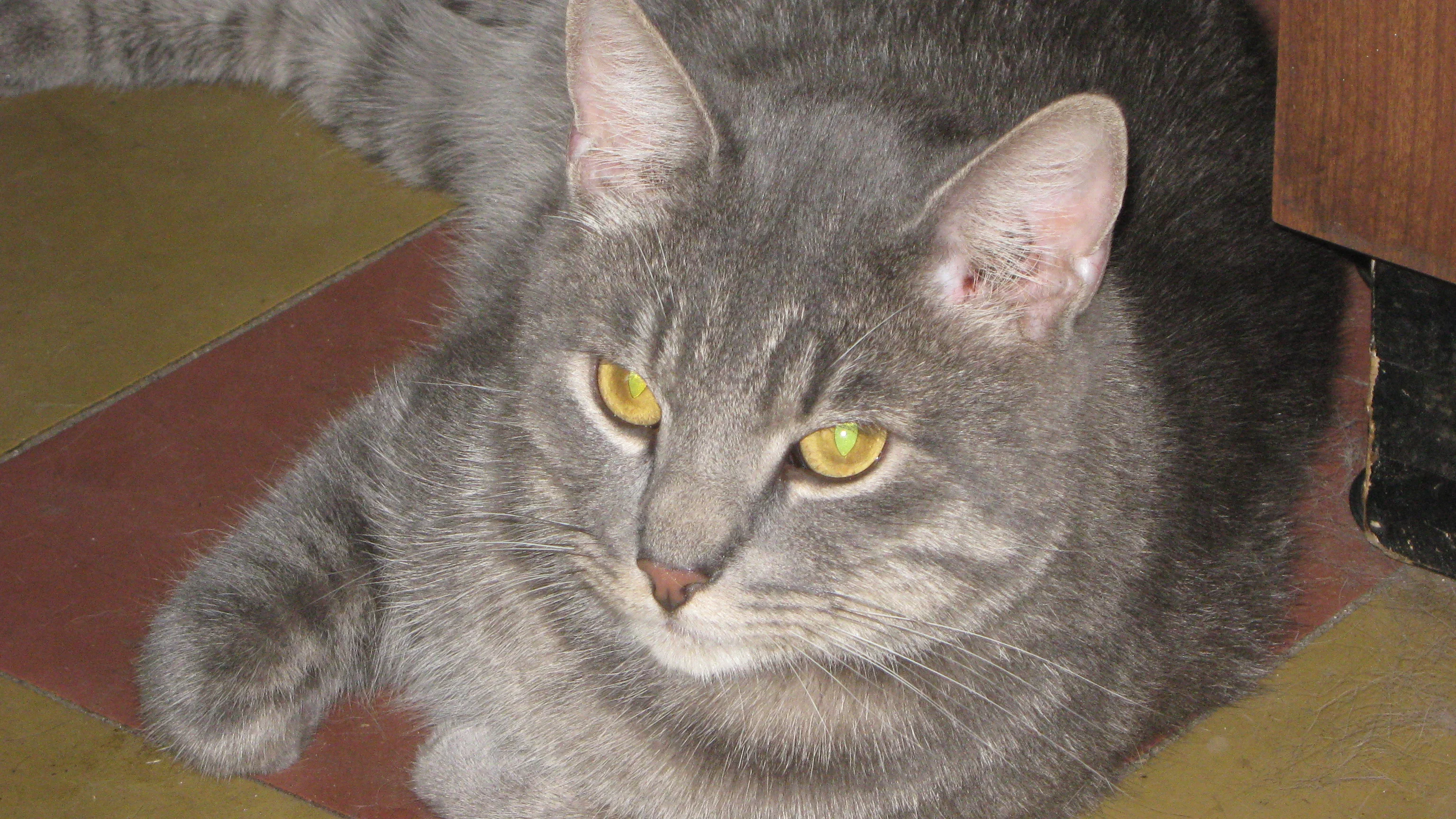 Изображение 005.webp