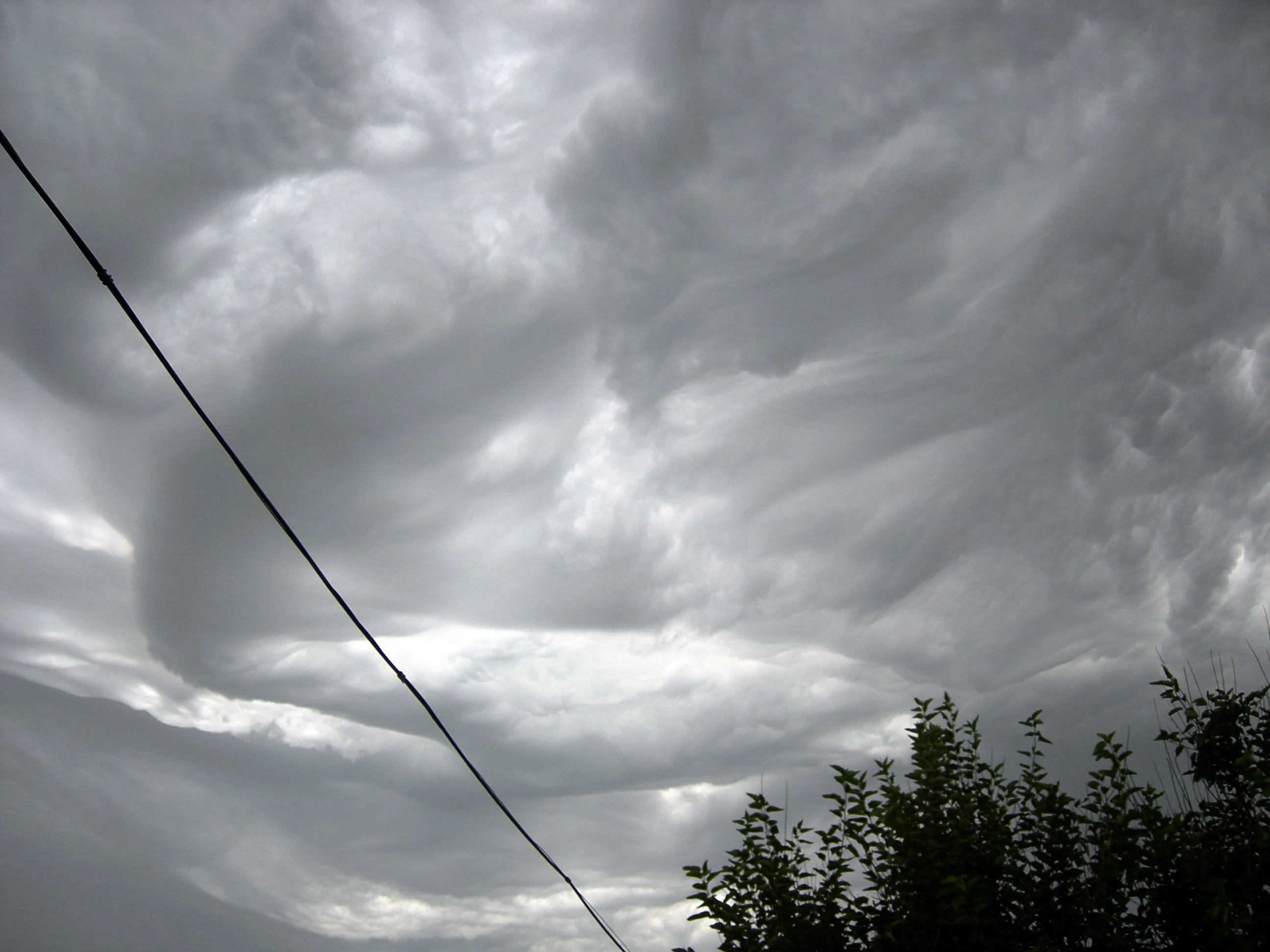 Изображение 005.webp