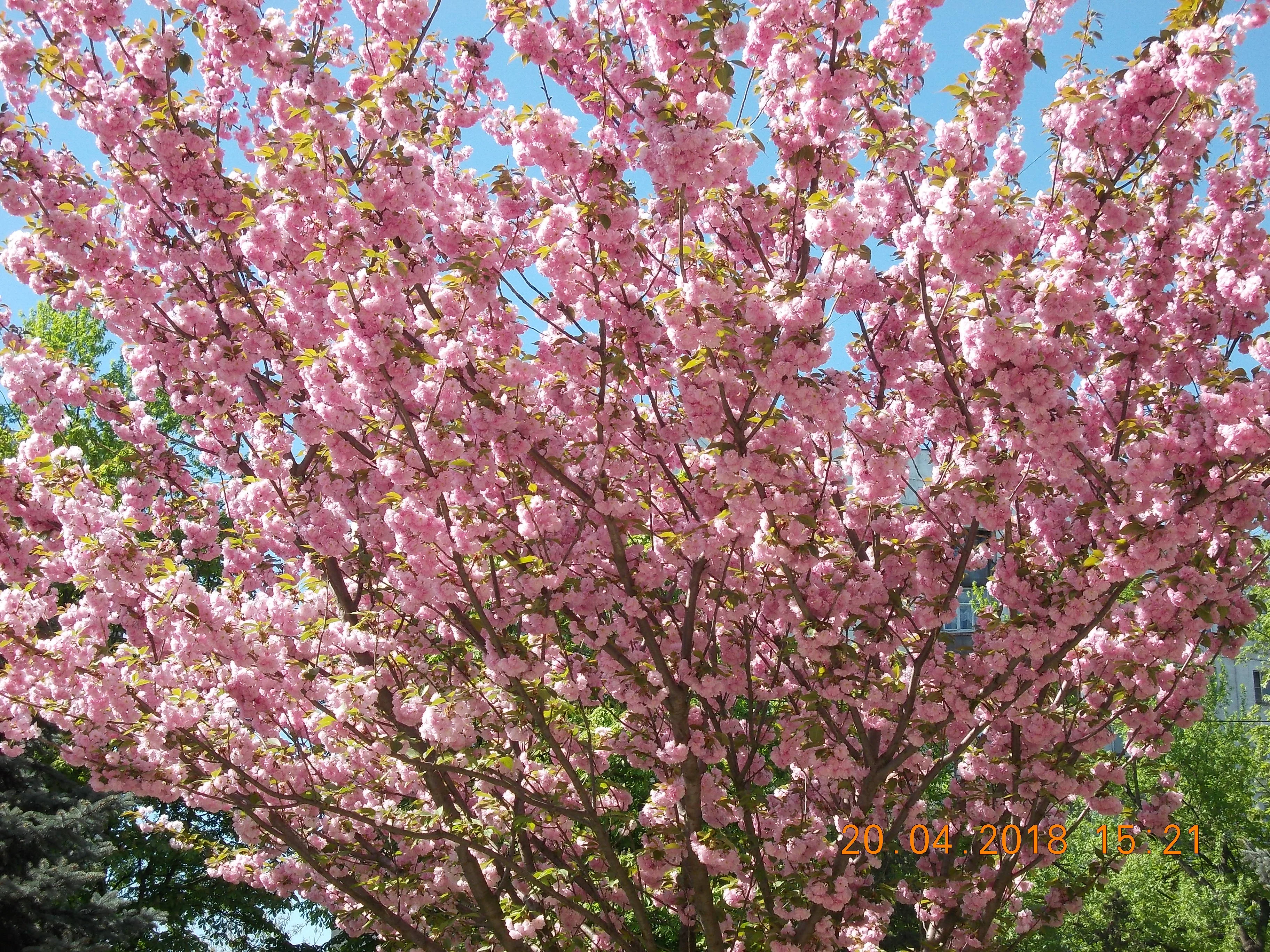 Изображение 005.webp