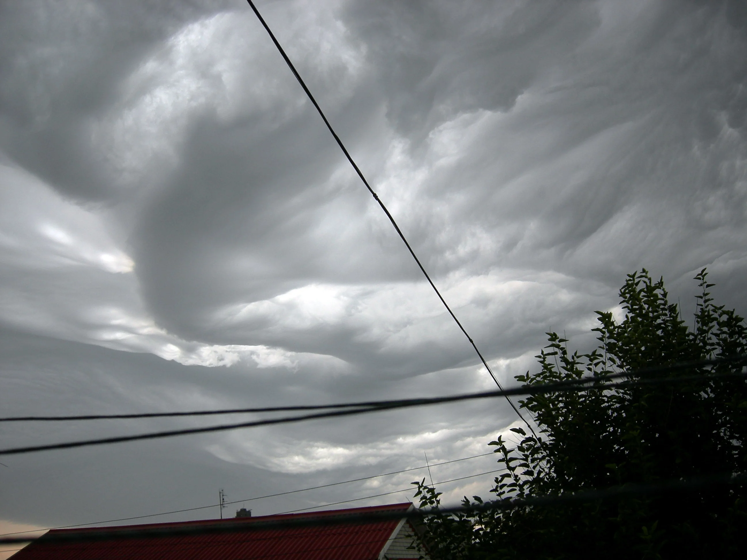 Изображение 006.webp