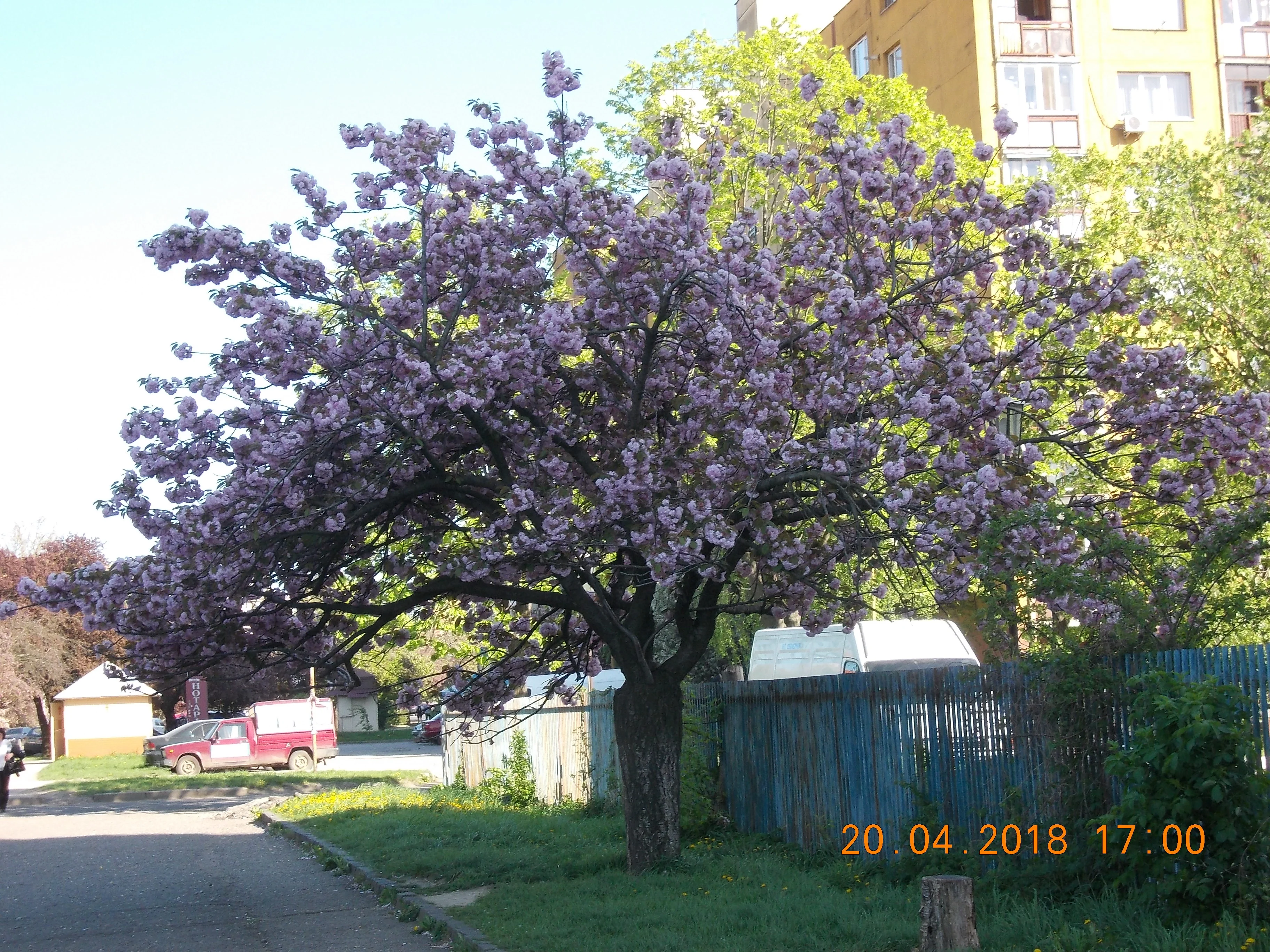 Изображение 006.webp