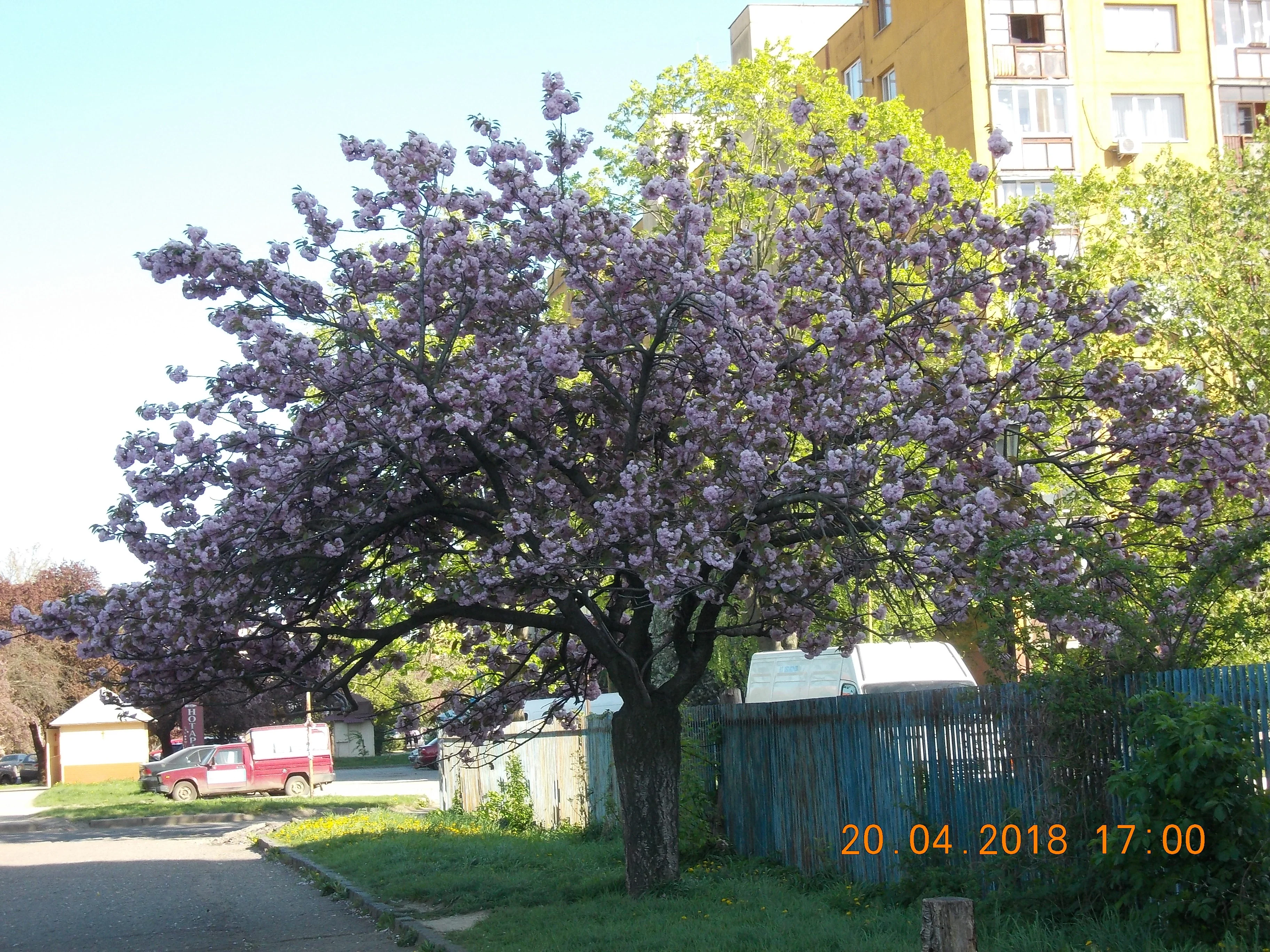 Изображение 007.webp