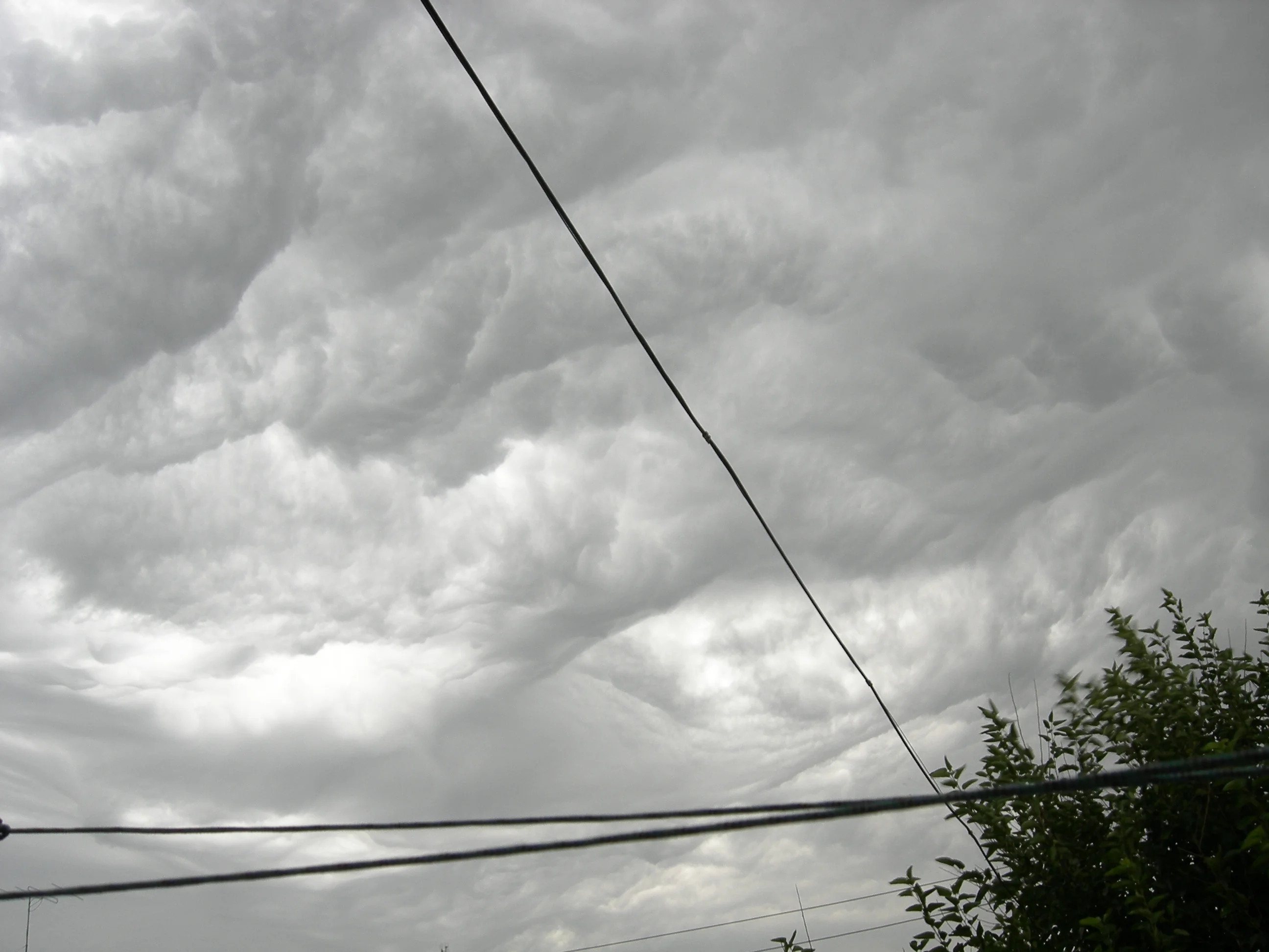 Изображение 008.webp