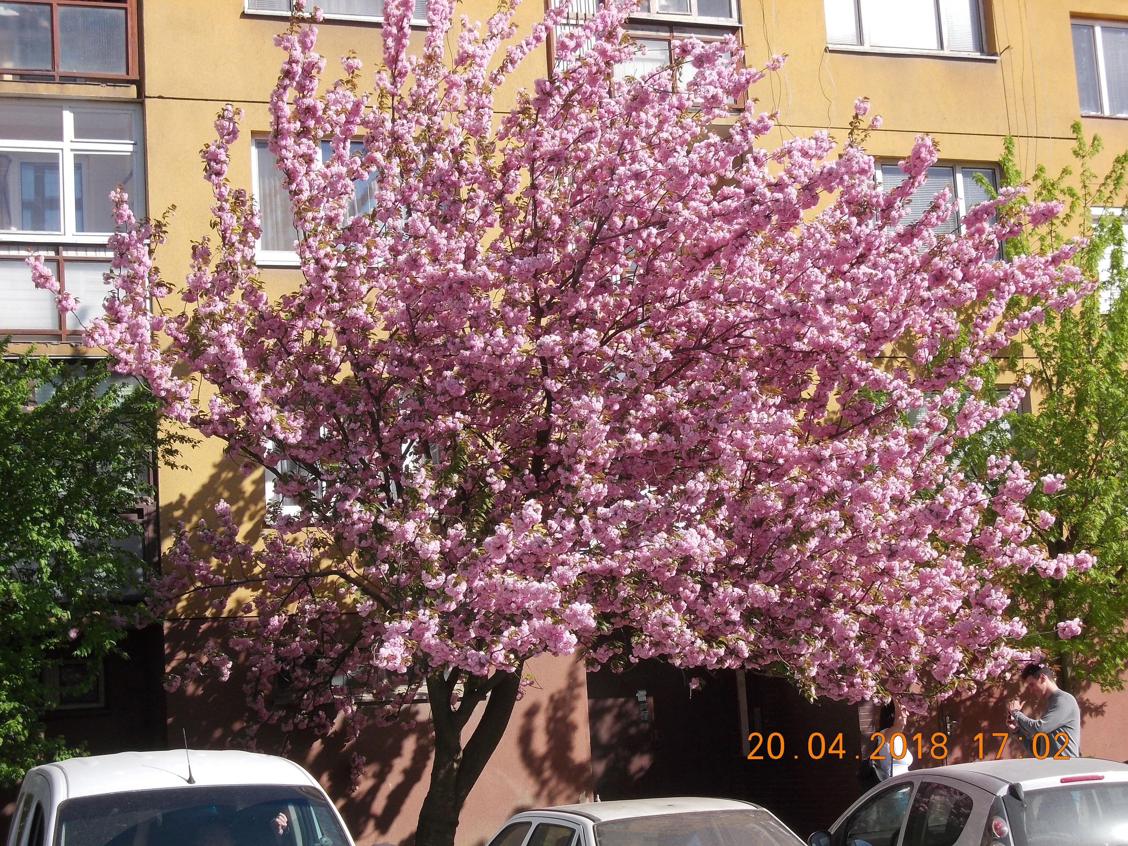 Изображение 008.webp