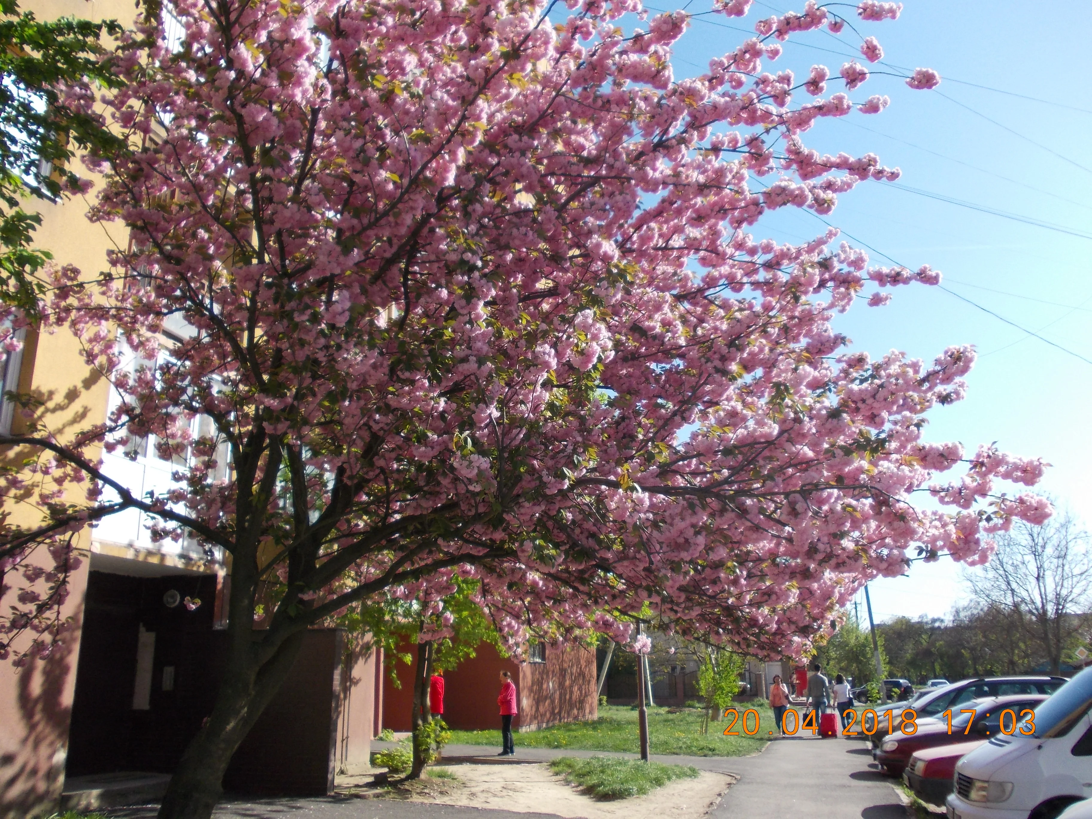 Изображение 009.webp