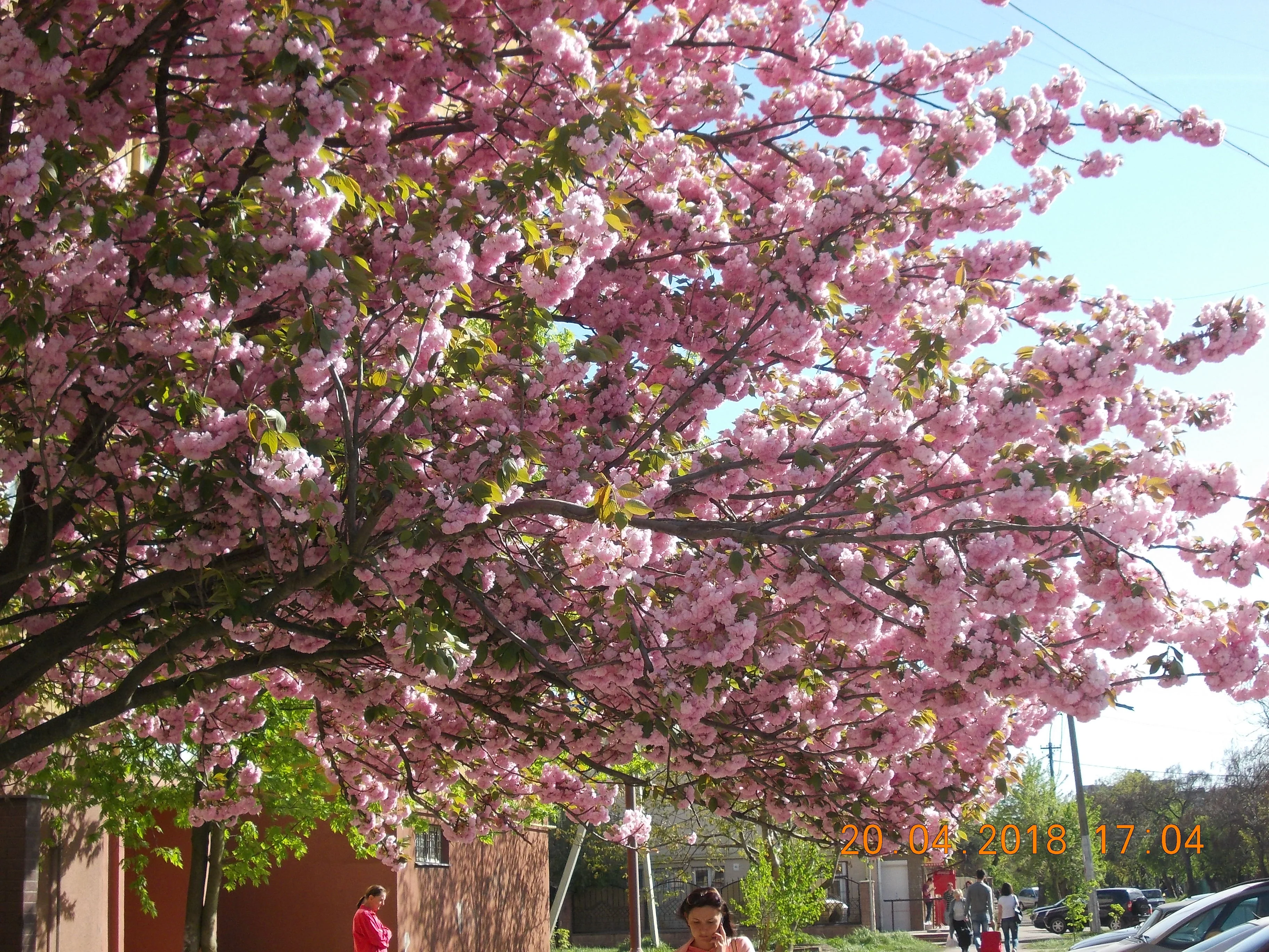 Изображение 010.webp