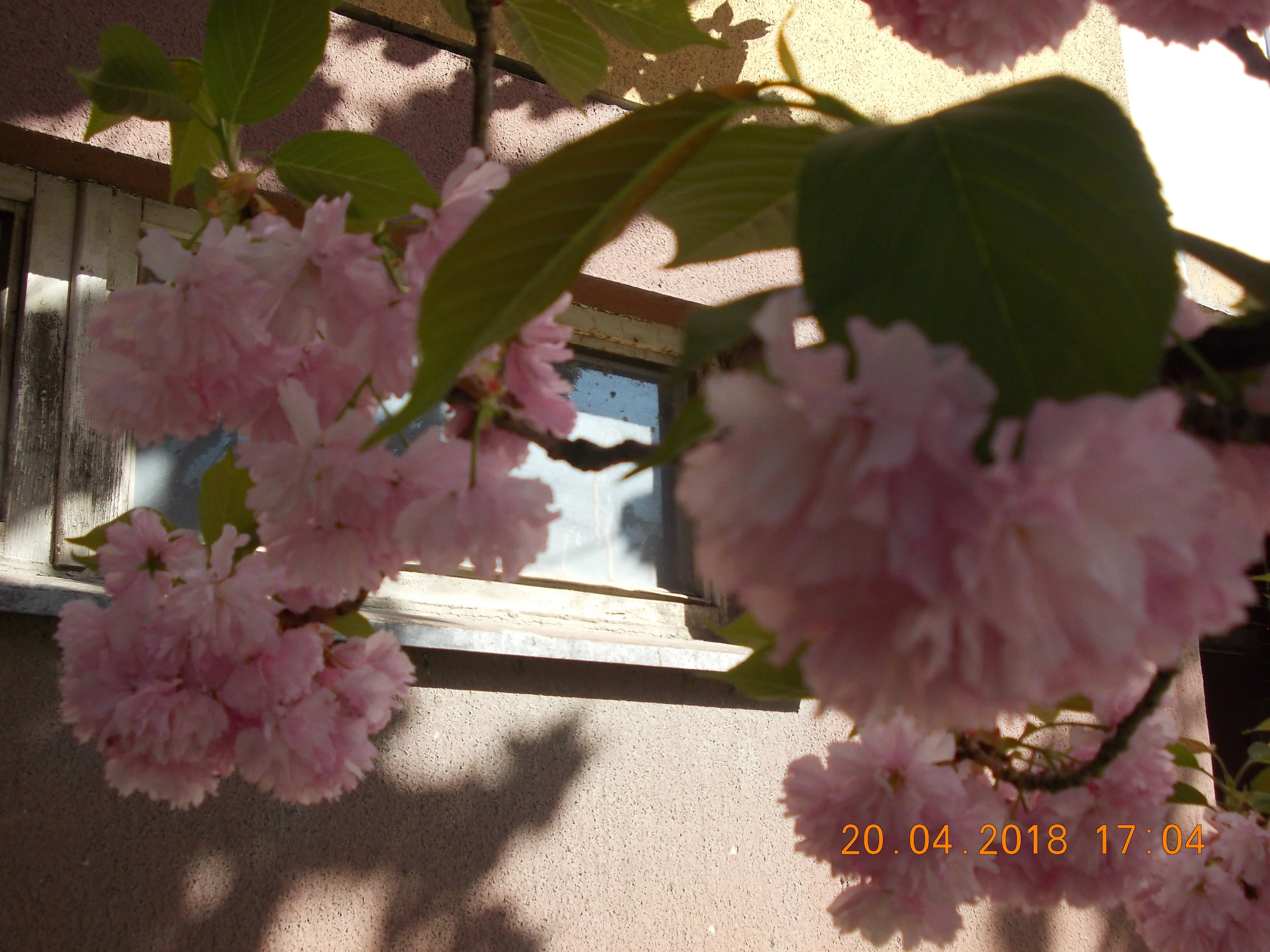 Изображение 011.webp