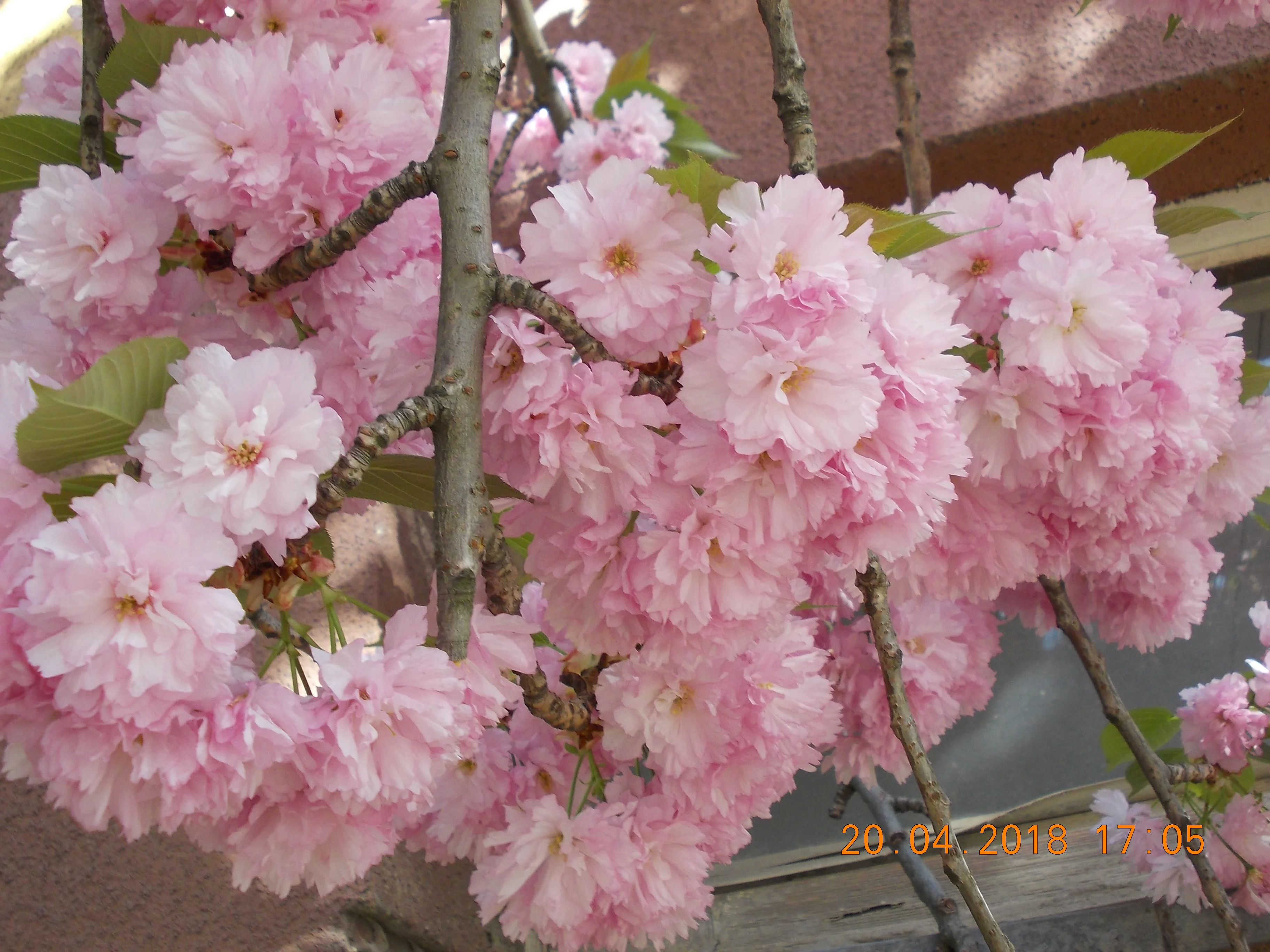 Изображение 012.webp