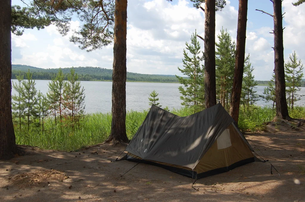 Изображение 013-1.webp