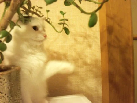 Изображение 013.webp