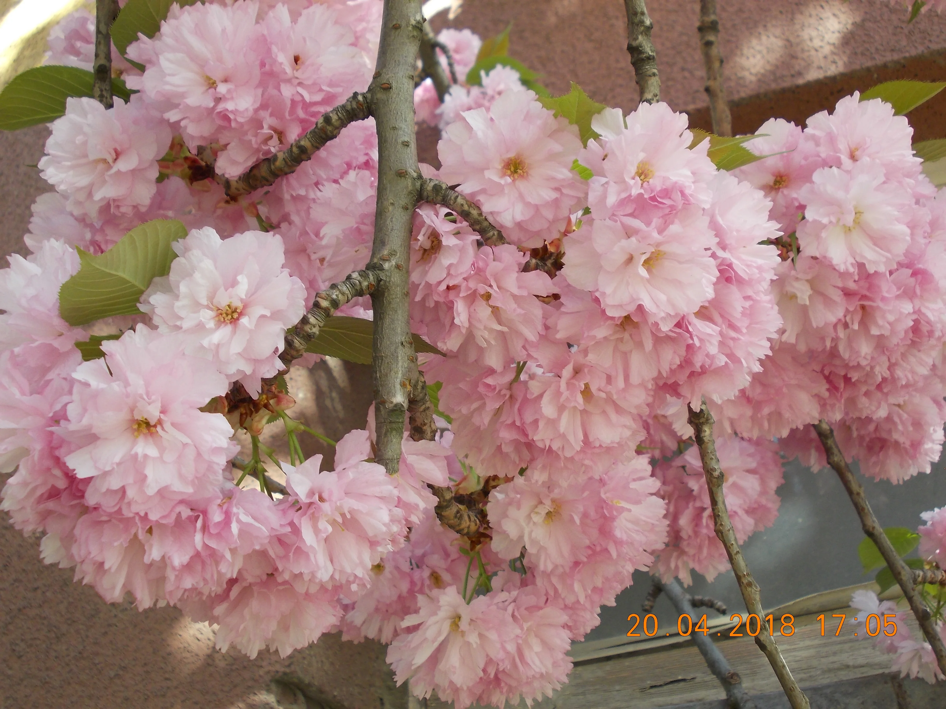 Изображение 013.webp