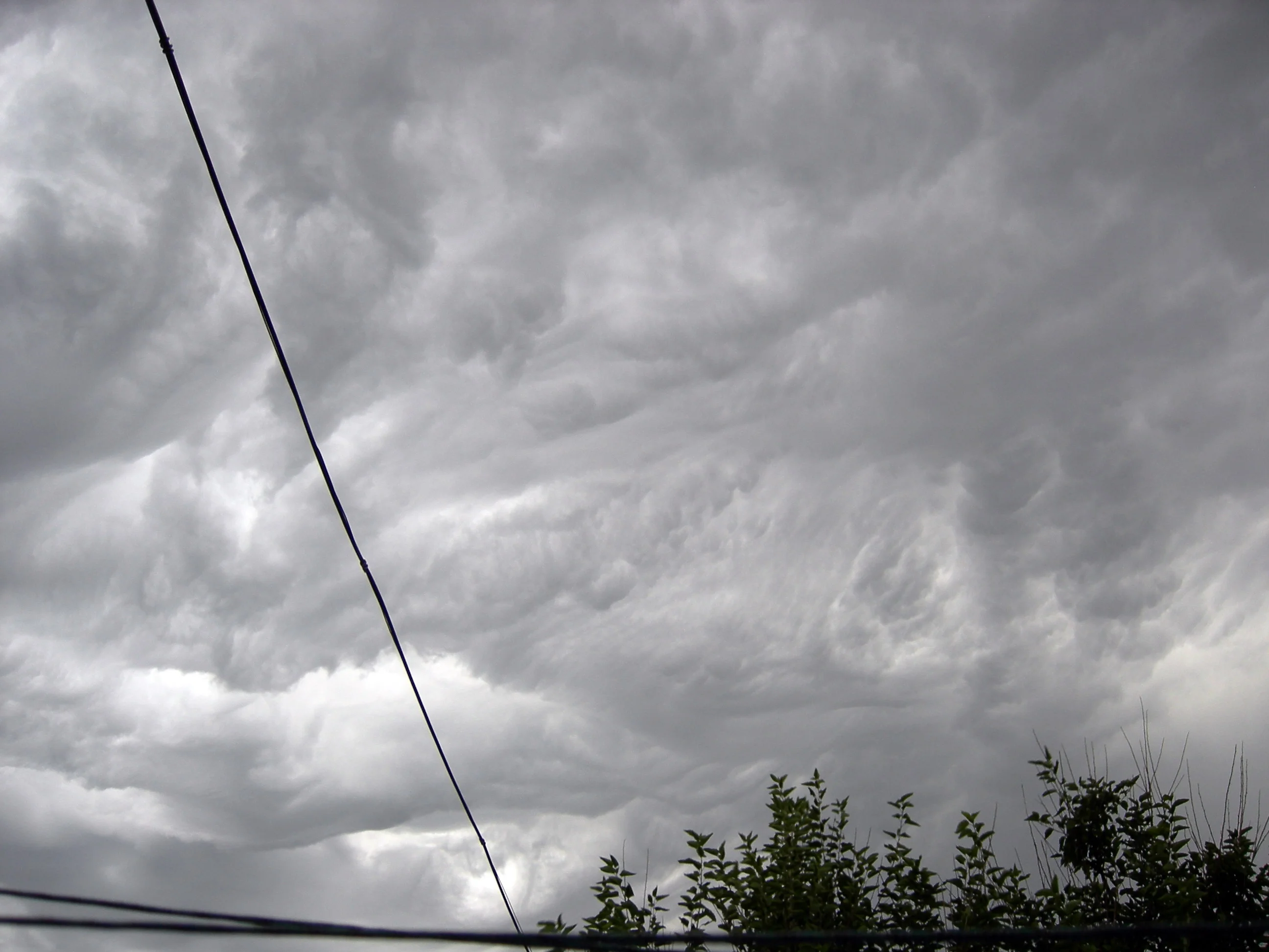 Изображение 014.webp