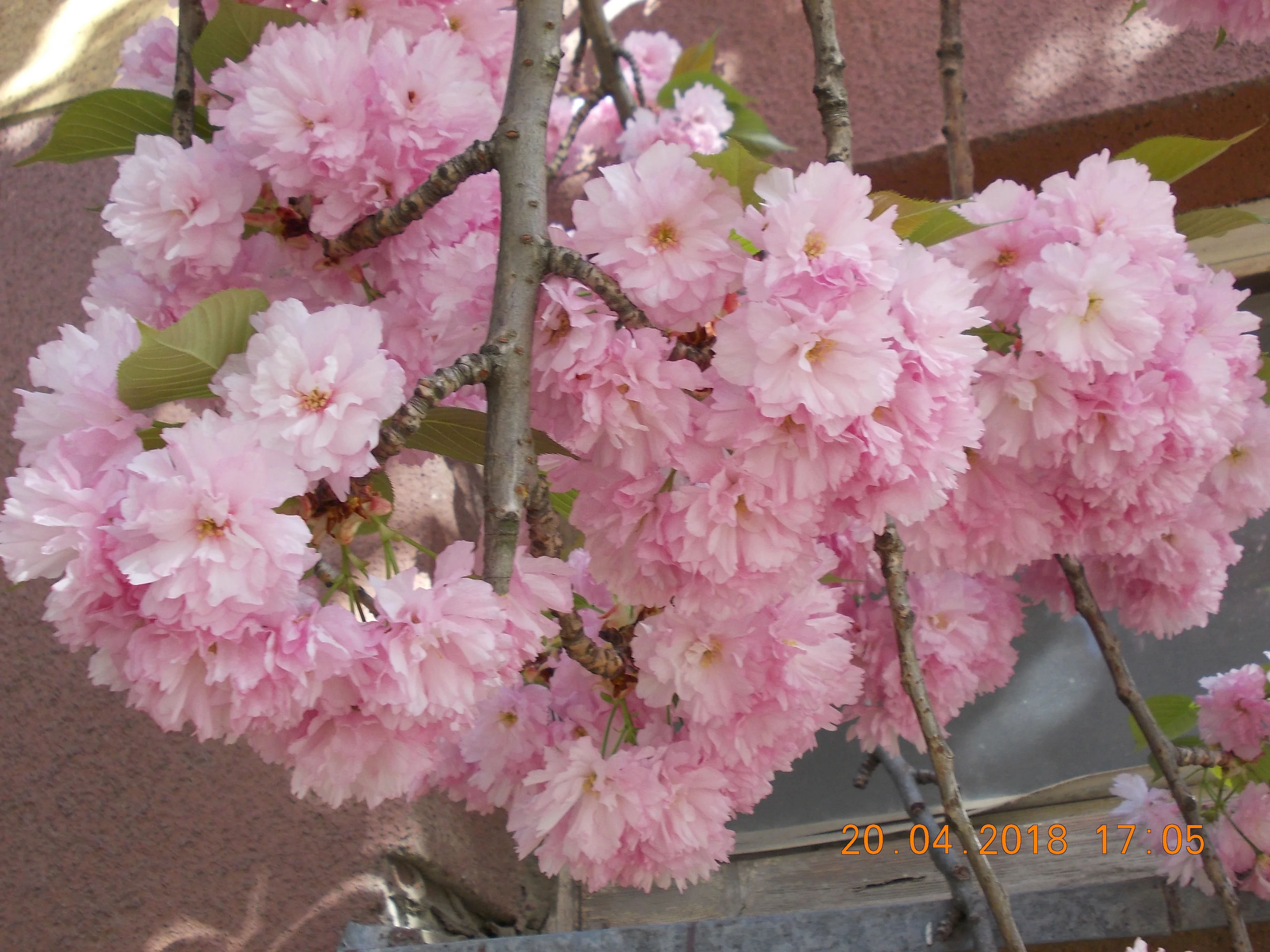 Изображение 014.webp