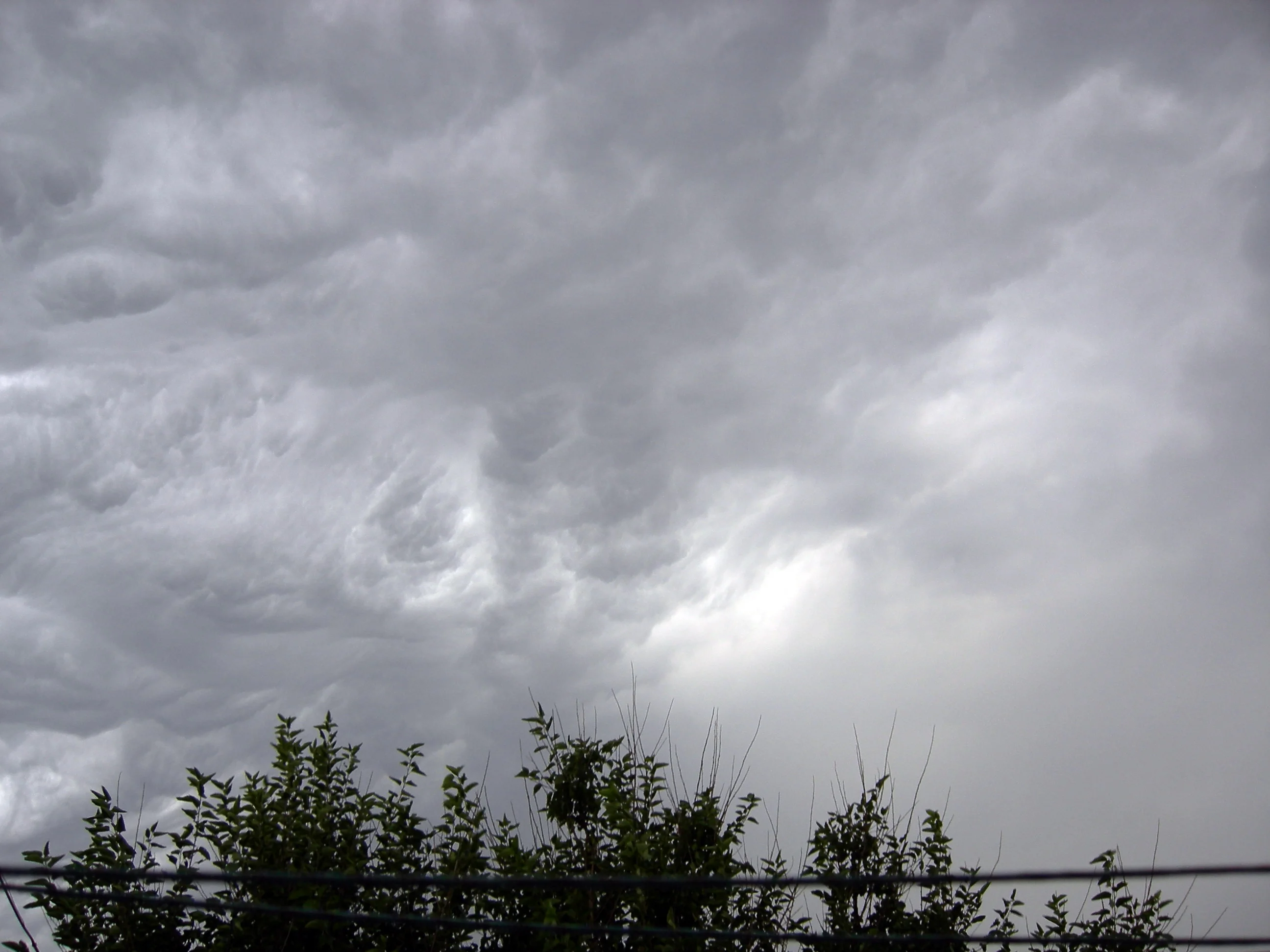 Изображение 015.webp