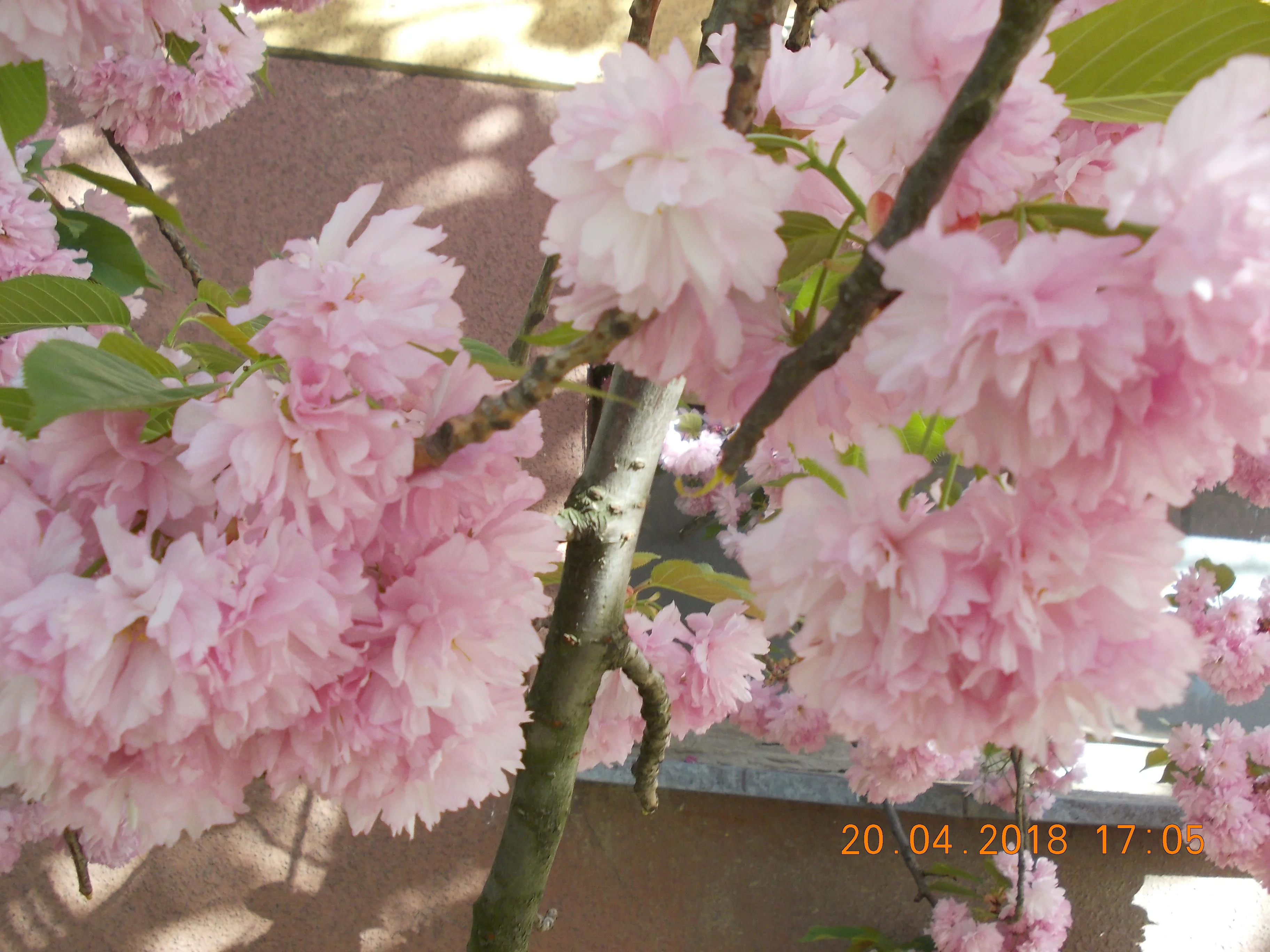 Изображение 015.webp