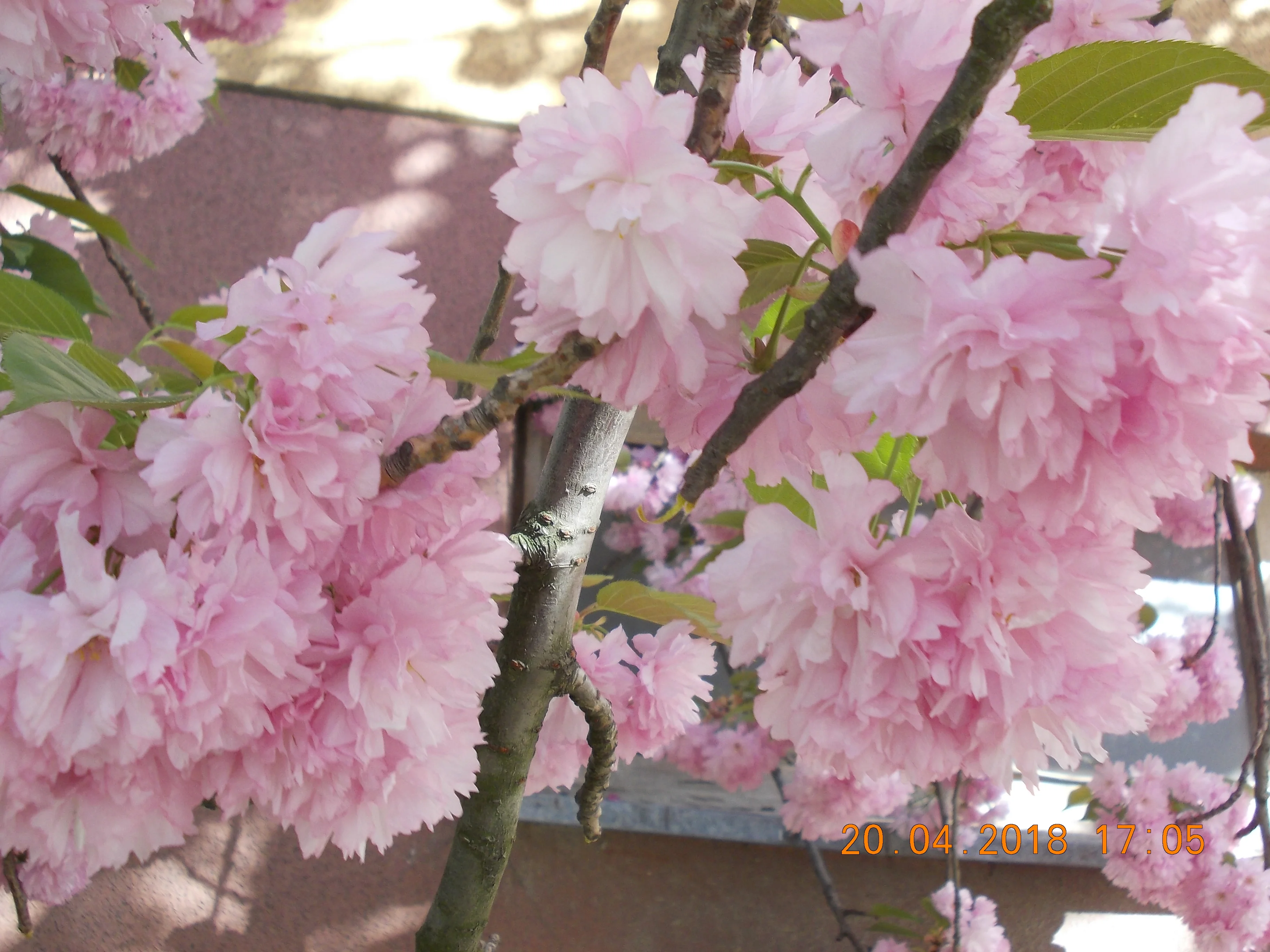 Изображение 016.webp